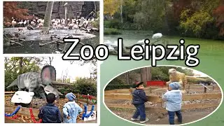 Visiting Zoo Leipzig for the 2nd time with Friends || @liebemarge10