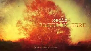 Xodie - Tofreedom
