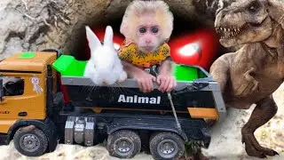 Baby monkey Tom rescues baby rabbit from ugly dinosaur | funny animals