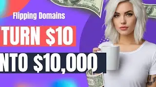 Domain Flipping- Domain Flipping for Beginners Tutorial Guide