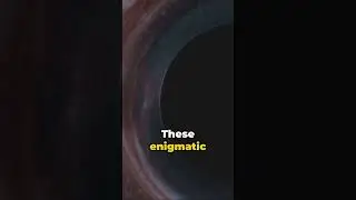 Science Reveals: Chameleon Secrets, Black Hole Mysteries, and Superhuman Stomach Acid!   #space