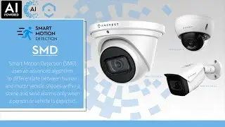 AI Cameras and AI NVRs Features Video