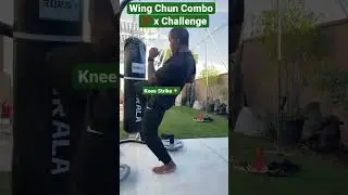 Develop POWERFUL Combination on Heavy Bag | Kung Fu Fundamentals