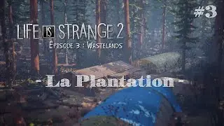 Life Is Strange 2 - Episode 3 : Wastelands. #3 - La Plantation, par Quartzall.
