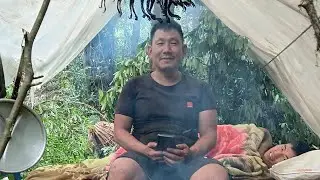 Tree cutting in nepal