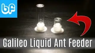 Обзор набора для кормления муравьев GALILEO Liquid Ant Feeder Kit и кормление! | от Formica