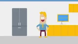 Northern Lights Project Explainer Video
