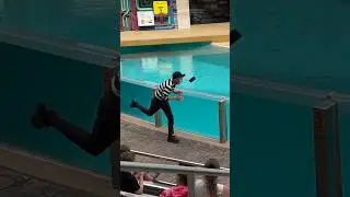 Mime drops phone in the pool! 😳 Lynn mime Seaworld #seaworldmime #lynnthemime