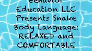 Snake Body Language 1