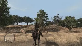 PLAYING RDR