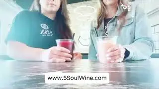 5 Soul Wine Co. Swirl Drinks - Don't Miss our Frozie Swirls #texas #winery #5soulwineco #colddrinks