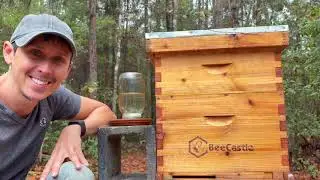Helping My Bees Through Winter With a DIY Feeder 🐝