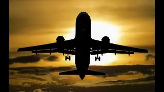 All You Need to Know About Relocation Packages