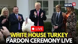 President Trump Pardons Thanksgiving Turkey | White House Rose Garden Ceremony With Family | N18G