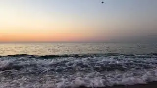 Tatuuma &mdash; Morning Beach (Official Video)
