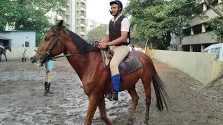 Kolkata police horse training🐎🐎 mounted police🚨Horse bar jump❤️ft.Rukmini🐎 Marwari horse#equestrian