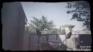 SPINKY STANCE APPEAL