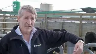 Residual Feed Intake Research