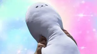 LONG EGGDOG PLUSH
