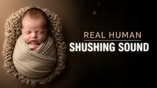 Real Human Shushing (Stereo) ☁️ Womb-Like Comfort for Sensitive Ears | Safe Newborn Sleep
