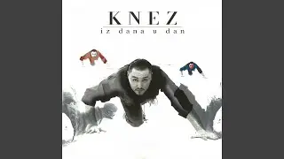 Iz Dana U Dan