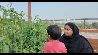 ছাদ বাগানে সবজির ফলন কেমন হয়ছে | Doyel Agro