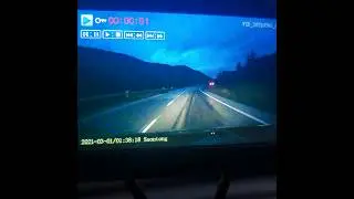 Transport truck hit moose in Newfoundland