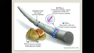 Environmental Earth Science and Health  Focus on Particulate Matter Research