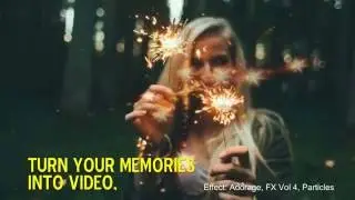 proDAD Adorage filter - Corel VideoStudio