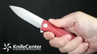 Petrified Fish PF818 Forward Liner Lock Flipper Knife