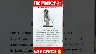 10 lines on  Monkey 🐒 ll Essay on Monkey #essay #10lines