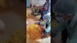 Ramaera Spice Manufacturing Unit। Spice Making & Packaging Video। Pure Spice। Really Great