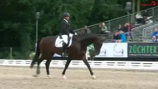 Bundeschampion 2015: 5-j. Dressurpferde: Smirnoff