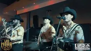 Adiós querida - Los Mora EN VIVO