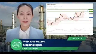 Stock market - WTI Crude Oil Analysis on 12/11/2024 - Stepping Higher