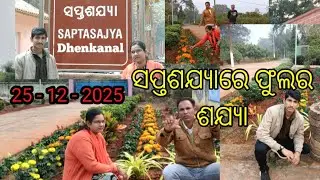 Saptasajya  Dhenkanal | Horticulture Dhenkanal ||Dhenkanal Horticulture | Dhall Family | Dhall 2822