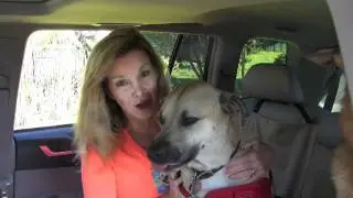 Pet Travel Tips with Megan Blake, The Pet Lifestyle Coach&reg;, and Super Smiley the Dog
