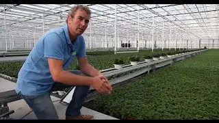 SV.CO cultivation floors for a uniform crop