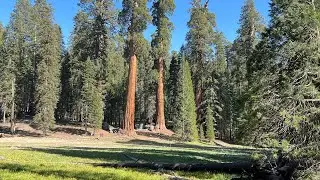 Gem of the Sierra:  Crescent Meadow