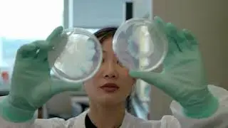Engineering for Humanity: revealing the microbial world