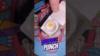 Purple Punch Strain Review: Not Impressed! | Green Dragon & Circles | StankyFlower