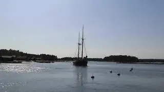 M/Aux Vivan Tammiossa