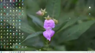 Windows 11 - How to fix very laggy & slow  windows,when minimise - tutorial EN (2025)