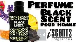 Perfume Black Scent //#perfumesimportados ,#perfumesnacionais ,#blackscent