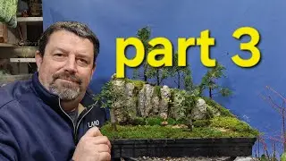Высадка новых растений в ландшафте (пэньцзин).