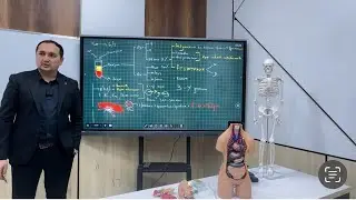 Anatomiya 6-dars  &ldquo;Qon&rdquo;