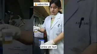 urine routine ## urine  ph test 🤪🤪👍👍👩&zwj;🔬👩&zwj;🔬