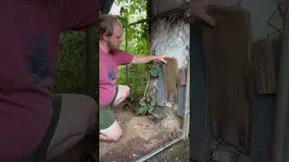 The best chicken automatic coop door we've got for our chickens!#chicken #backyard #backyardchickens
