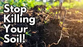 Fix Your Soil Fast  7 Proven Steps to Supercharge Your Garden Before Spring!