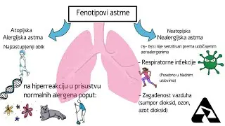 Astma, patogeneza astme, alergijska i nealergijska astma